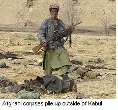 Kabul corpses